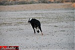 Los Angeles to Las Vegas