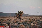Los Angeles to Las Vegas