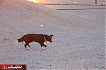Los Angeles to Las Vegas