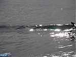 Neptune