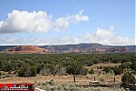 New Mexico