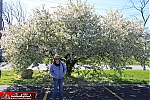 Indiana
