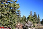 Lake Tahoe area