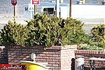 US 395
