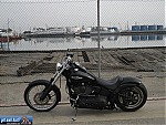 photos
