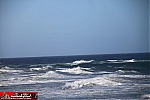 Pacific Coast Hwy