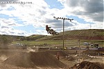 pictures