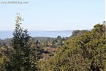 Central California