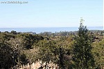 CA Highway 1