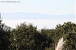CA Highway 1