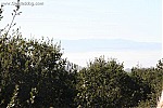 Central California
