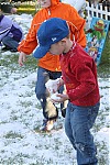 photos