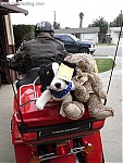 motorcycle toy run