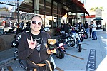 Bartels Harley-Davidson