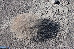 Death Valley