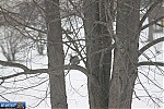 Indiana Winter