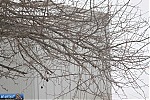 Indiana Winter