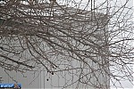 Indiana Winter