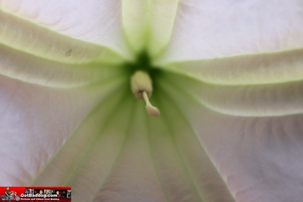 Click here for next image