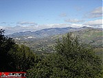 California