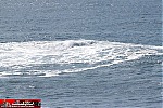 Point Vicente