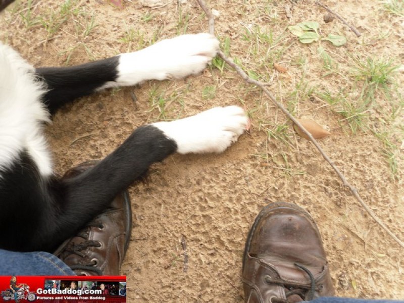 Click here for next image
