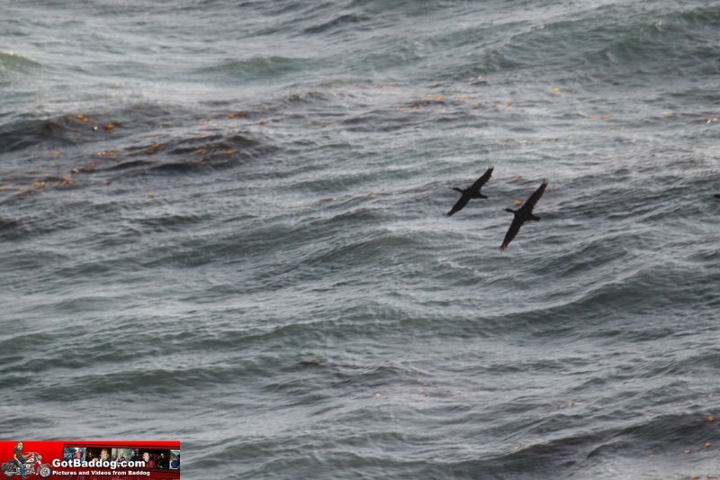 Click here for next image