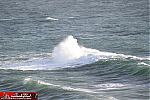 whale watching
