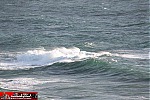 whale watching