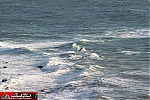 seascape