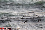 Southern California