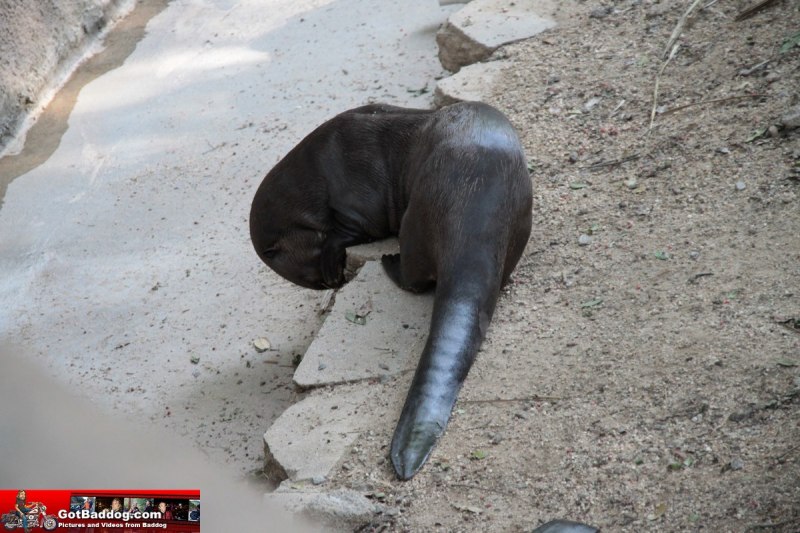 Click here for next image