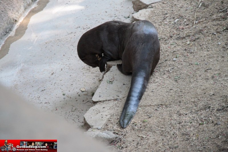 Click here for next image