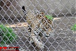 Los Angeles Zoo