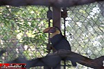 Los Angeles Zoo