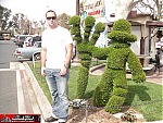 photos