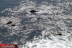 seascape