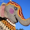 roseparade_6137