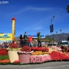 roseparade_7753