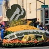 roseparade_7755