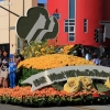 roseparade_7757
