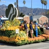 roseparade_7762