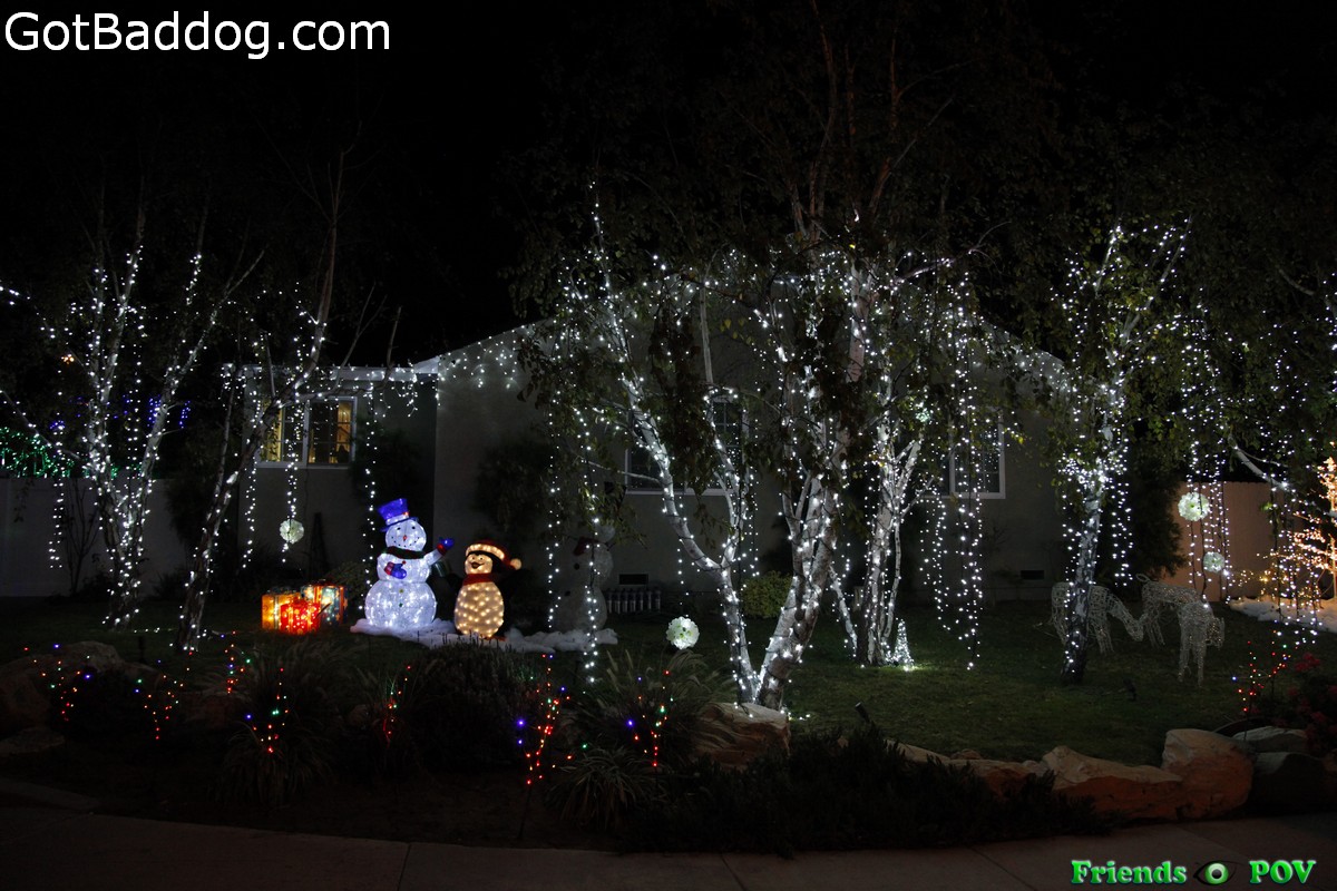 christmas lights at sleepy hollow candy cane lane photos christmas lights at sleepy hollow candy cane lane photos