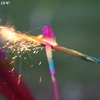 kidstuff_3379
