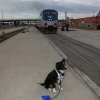 amtrak_0018