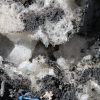 snowbowl_7786