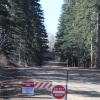 snowbowl_7790