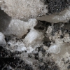 snowbowl_7791