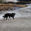 snowbowl_7800