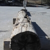 snowbowl_7804